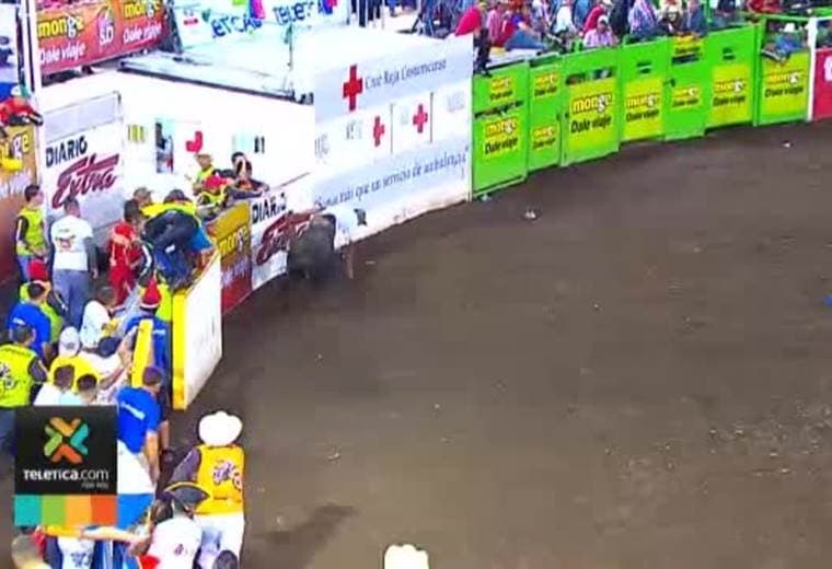 Redondel de Zapote ya está listo para la fiesta taurina de fin de año