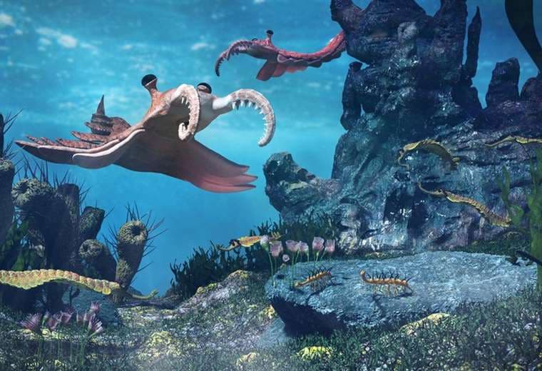 Cómo eran las extrañas primeras criaturas que habitaron la Tierra (y por qué se extinguieron)