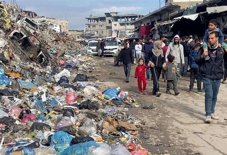 Campamentos de Gaza invadidos por roedores que transmiten enfermedades