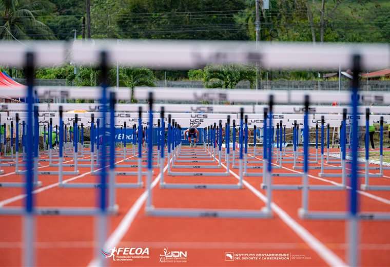 88 atletas firmarán renovación de becas deportivas