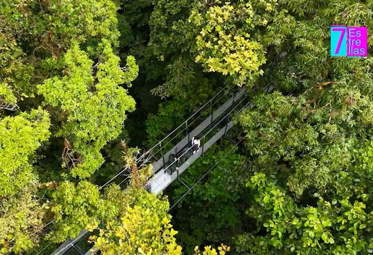 Monteverde estrena el primer puente colgante de vidrio en Costa Rica