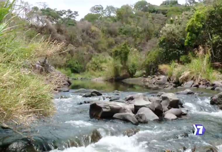 Un monstruo que se oculta en el agua