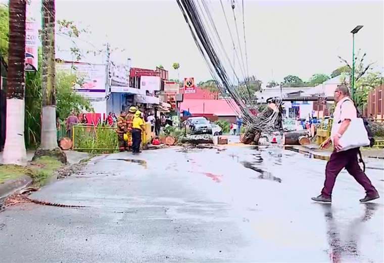 CNFL trabaja para restablecer electricidad tras caída de árbol en La Unión